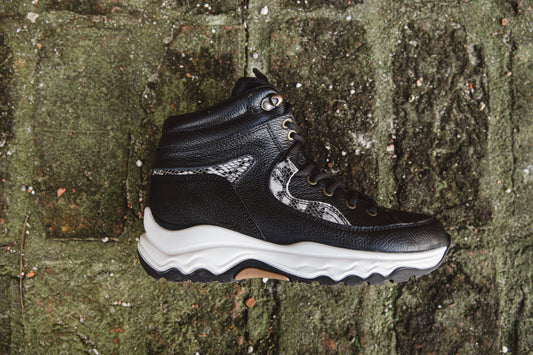 Black Snake