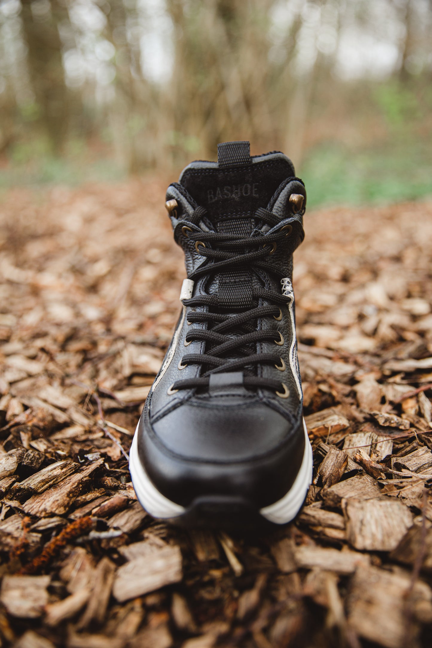 Black Snake