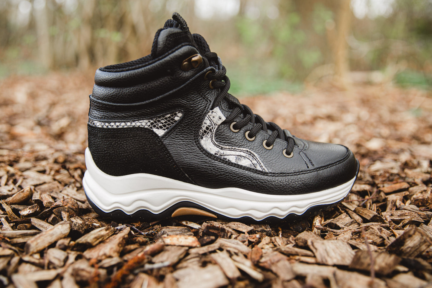 Black Snake