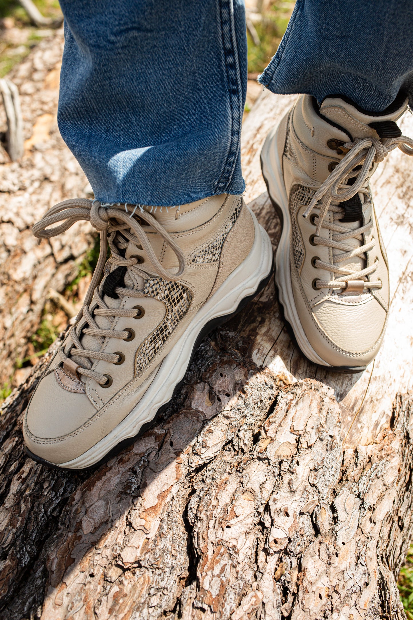Beige Snake