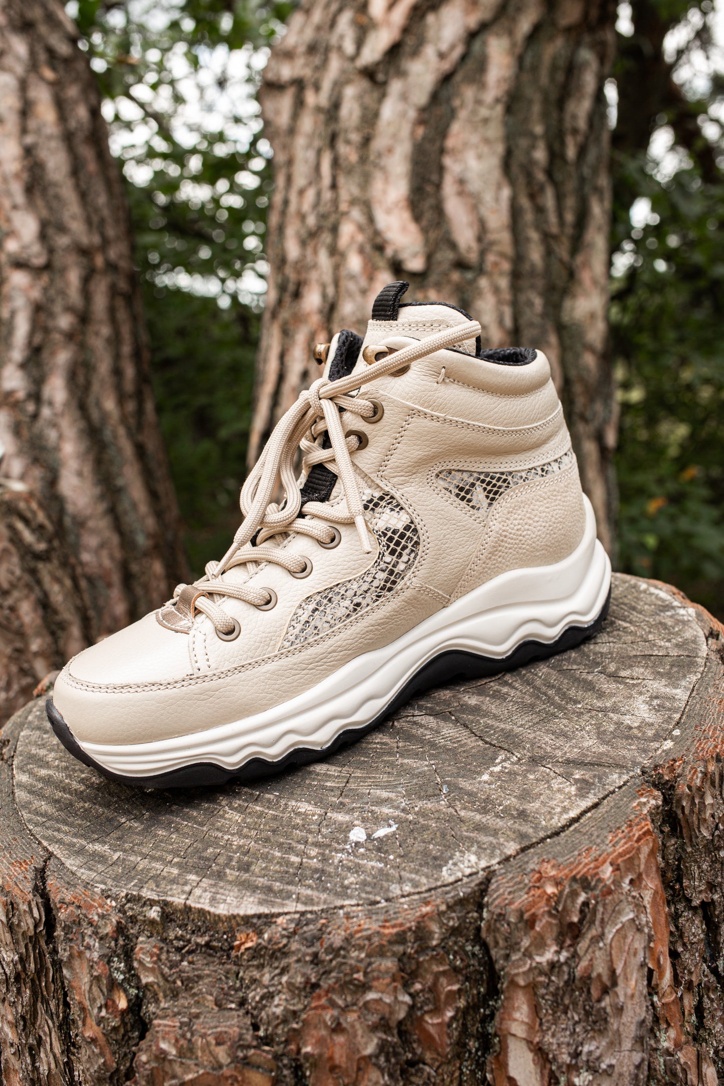 Beige Snake