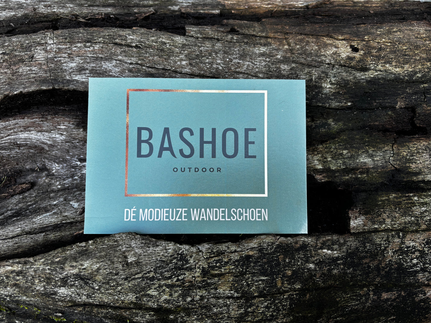 Gun iemand een heerlijk paar modieuze wandelschoenen!